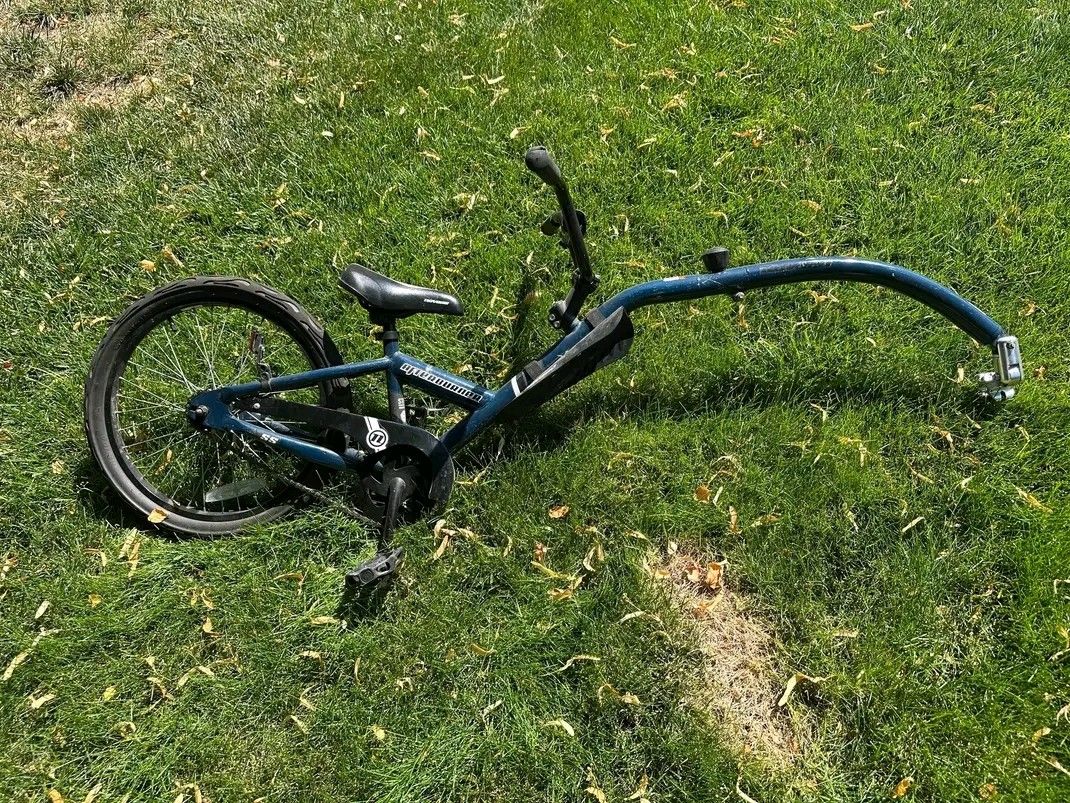 Kids Tag Along Bike Extension