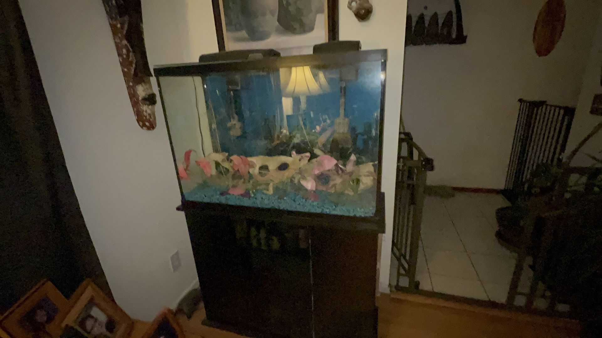 Marineland LED 45 Gallon Aquarium and Stand