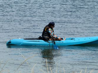 Kayak great Kaya