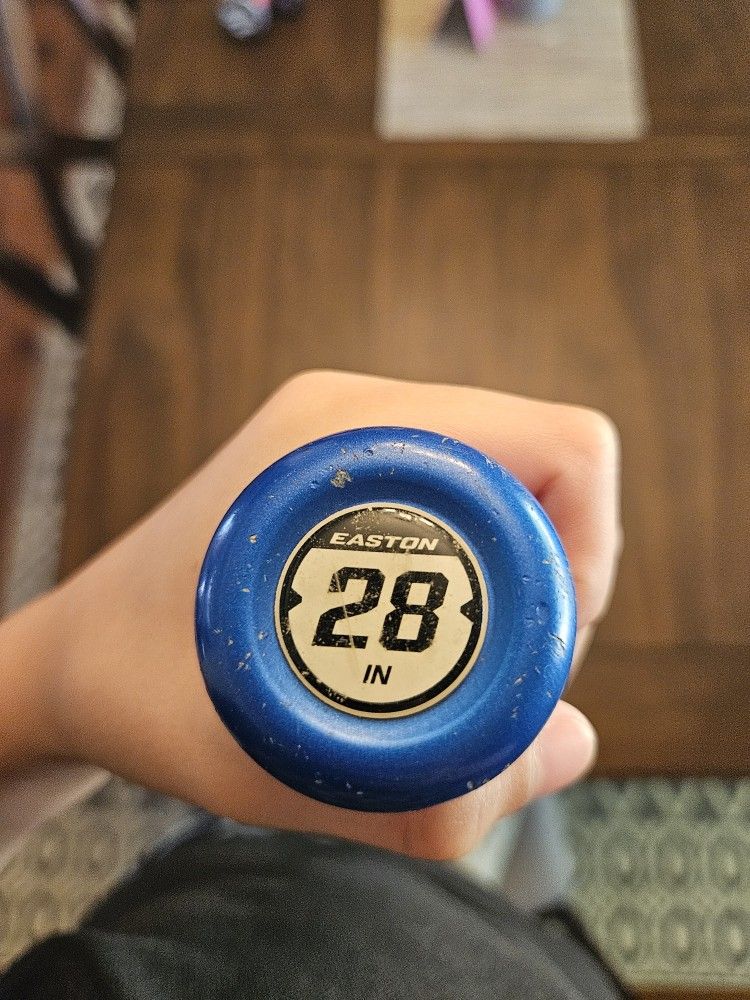 Easton Baseball Bat