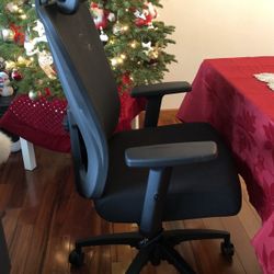 FlexKing Ergonomic Office Chair