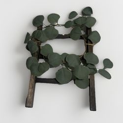 Eucalyptus Leaves And Small Ladder 