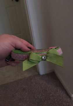 Small Dog Collar