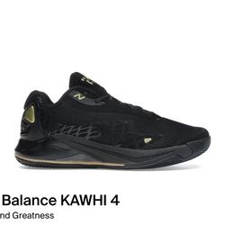Nike KAWHI IV BBKLSWG4 Size 6.5,12.5