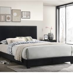 New Queen Velvet Bed Frame 🛏. MATTRESS NOT INCLUDED. PAY UPON DELIVERY 🚚