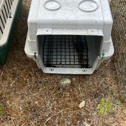 Animal Cages 