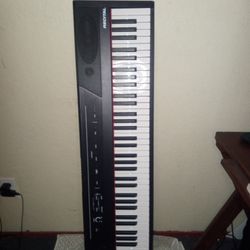 Alesis Recital Digital Piano