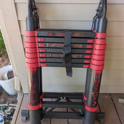 Bought This Ladder For $100 - Don't Like It - Yours For $50