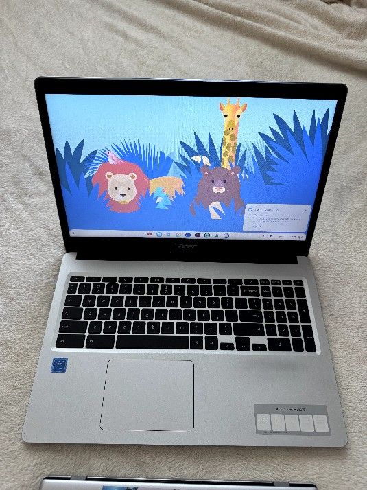 Acer Chromebook 315