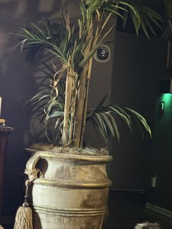 Palm Tree Planter