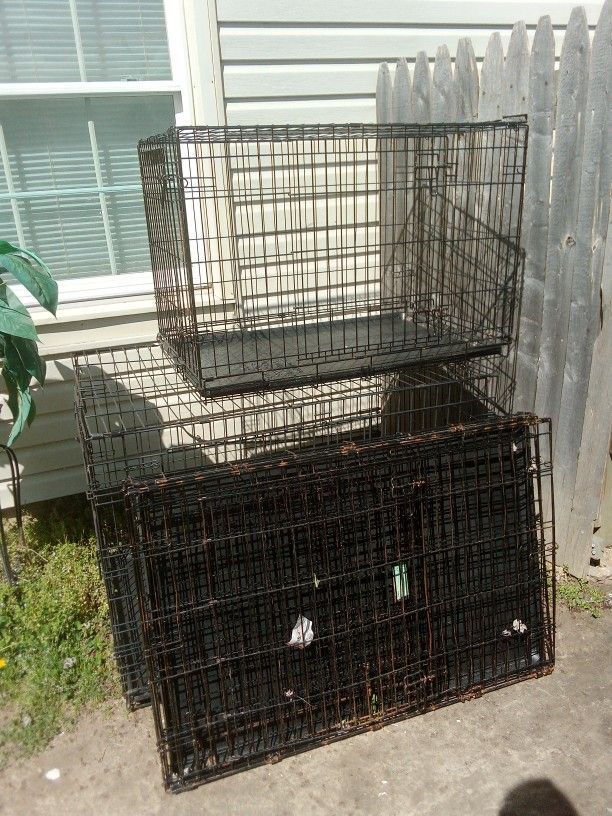 Two Medium Cages