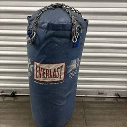 Everlast Punching Bag 