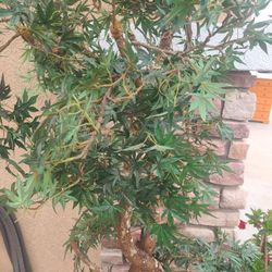 Artficial Plant