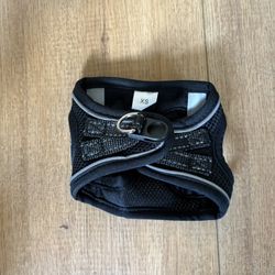 puppy dog harness