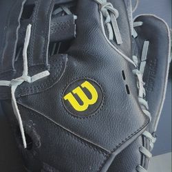 Baseball Glove