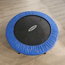 Indoor trampolin 40" Diameter