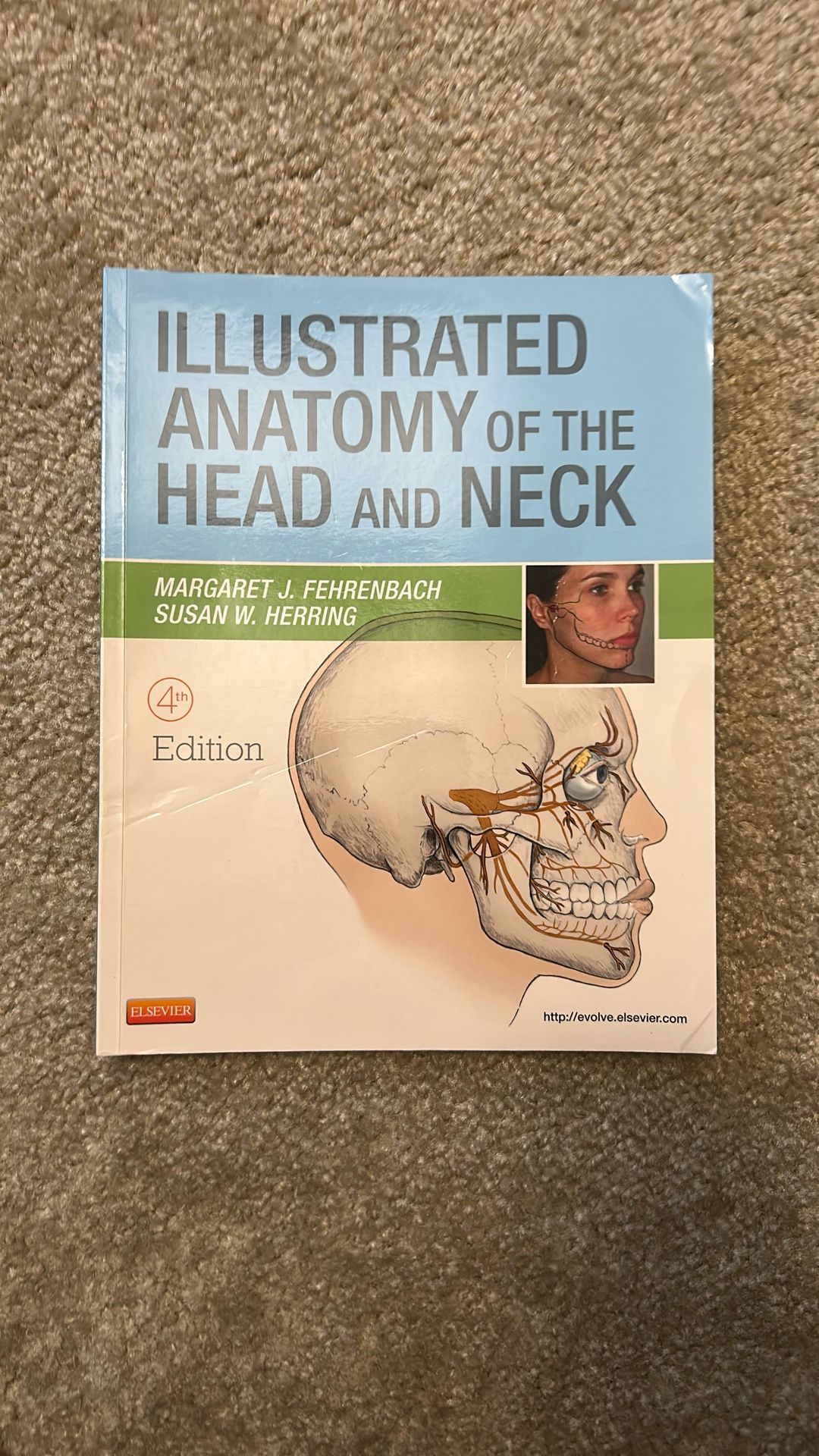 Illustrated Anatomy Of The Head And Neck