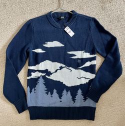 EXPRESS Mens Sweater