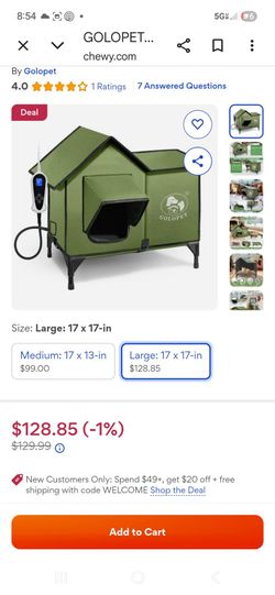 Cat heated house