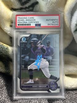 Adael Amador Authentic Auto