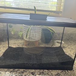 20 Gallon Fish Tank