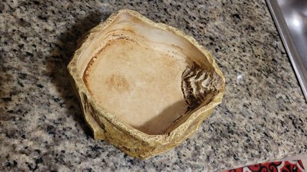 Exo-Terra Poly-Resin Granite Rock Water Dish