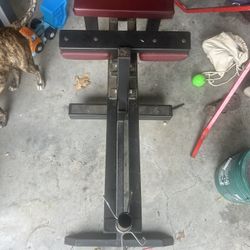Seated Weight Loaded Calf Machine