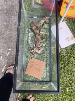 Tank/aquarium For Fish /reptiles