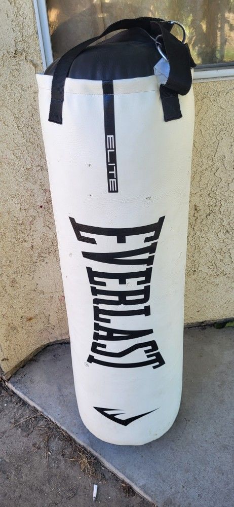 Everlast Punching Bag