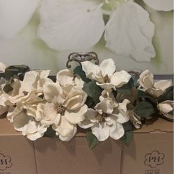 Guia De Magnolias 
