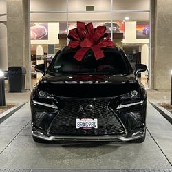 2020 LEXUS NX F SPORT