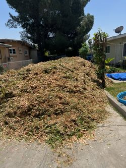 Free Wood Chips In Rialto / San Bernardino