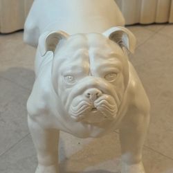 Doggequin PS Harold