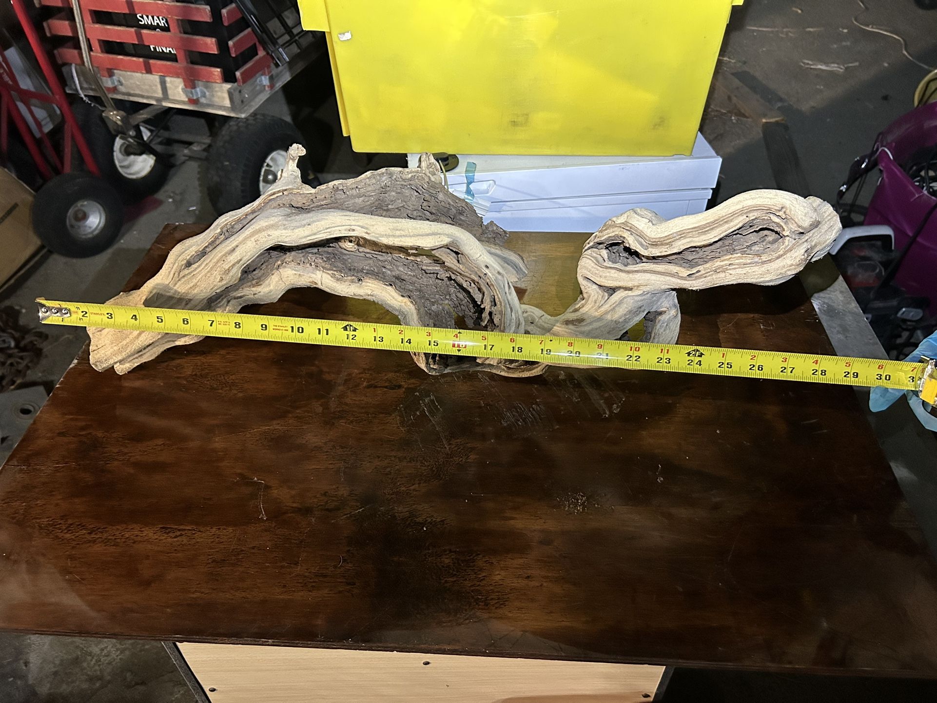 Bird or Reptile Mantenida Wood Sanded, And Pink Ready
