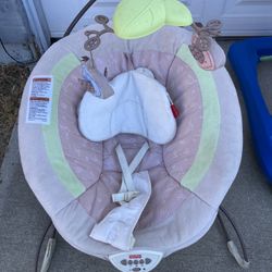 Baby Sleeper/Bouncy