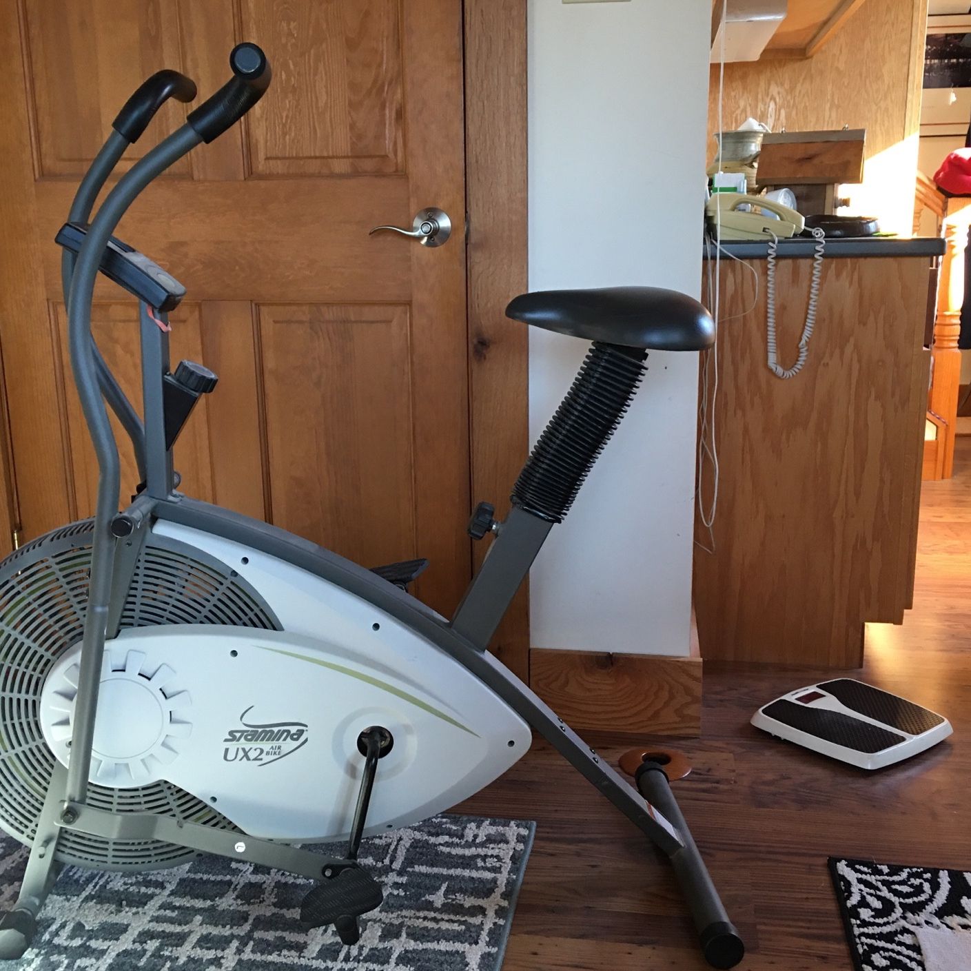 Stamina Exercise Bike