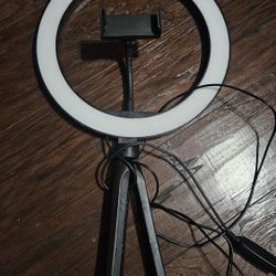 Selfie Stick 