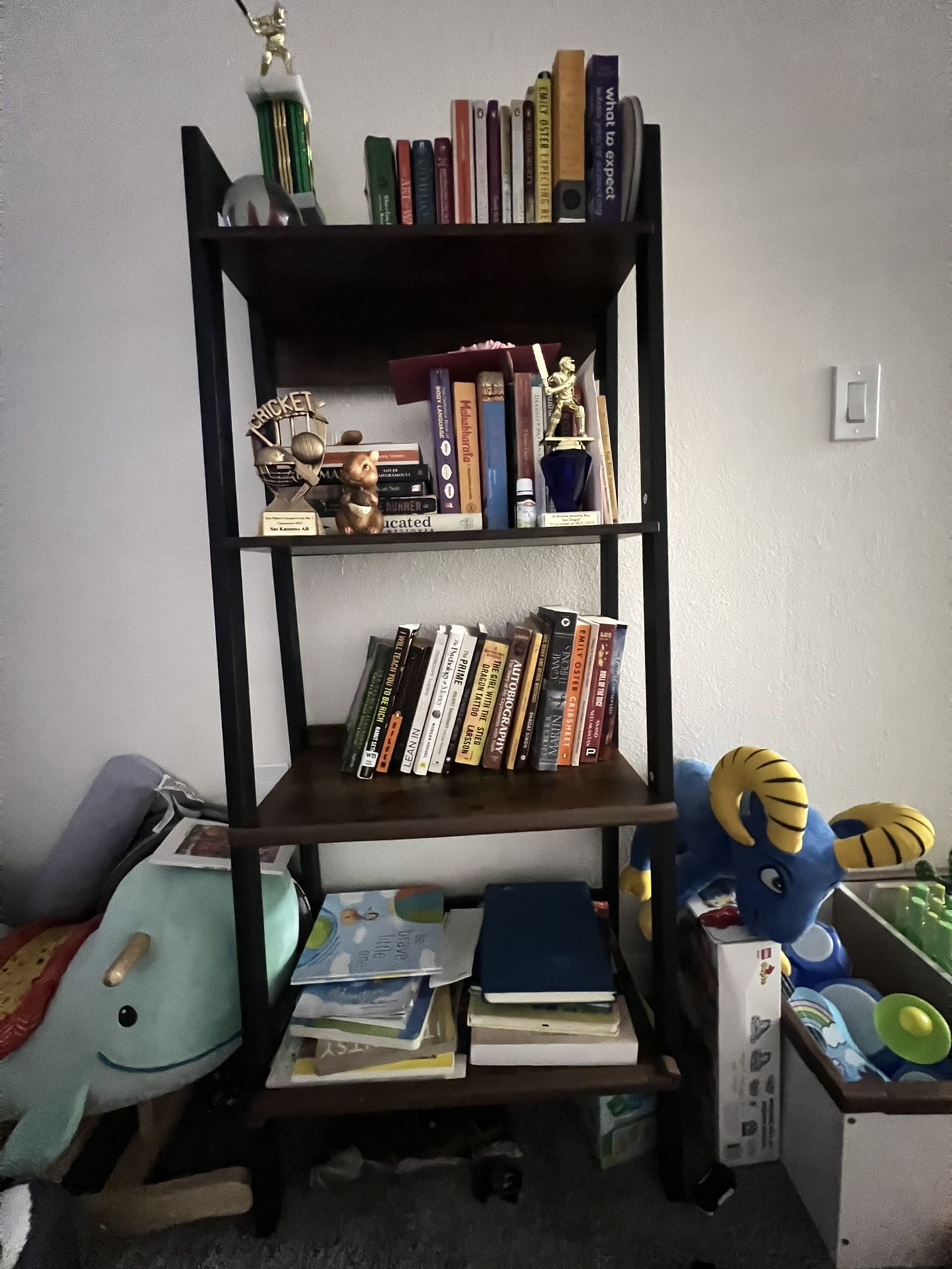 Ladder Book Shelf