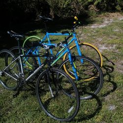 3 Great Bikes For Only $120 obo