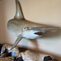 Vintage Large Fiberglass Hammerhead Shark Fish Replica Wall Mount Display - Retail: $1799