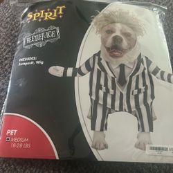 Beetle Juice Costume For Dogs 20.00  Medium