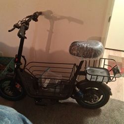 Electric Scooter