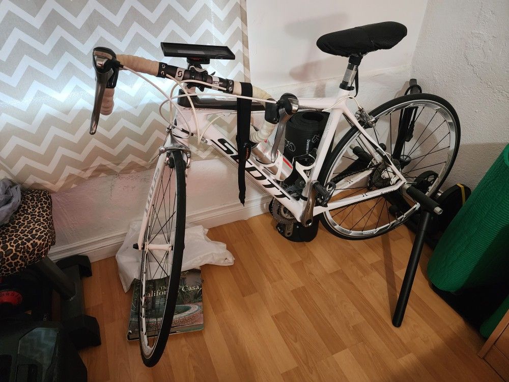 Scott Contessa CR1 XS 49cm – White Carbon Fiber Road Bike, Tiagra 10-Speed, Alexrims Wheels