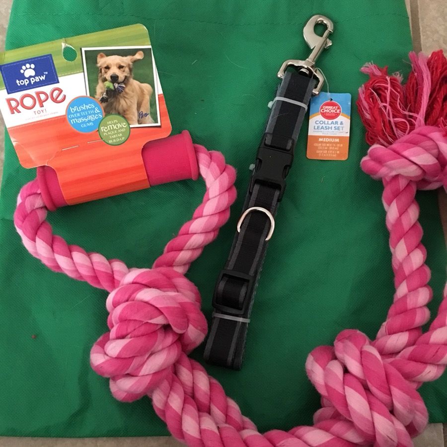 Collar, Leash and Dog Pull Rope Set
