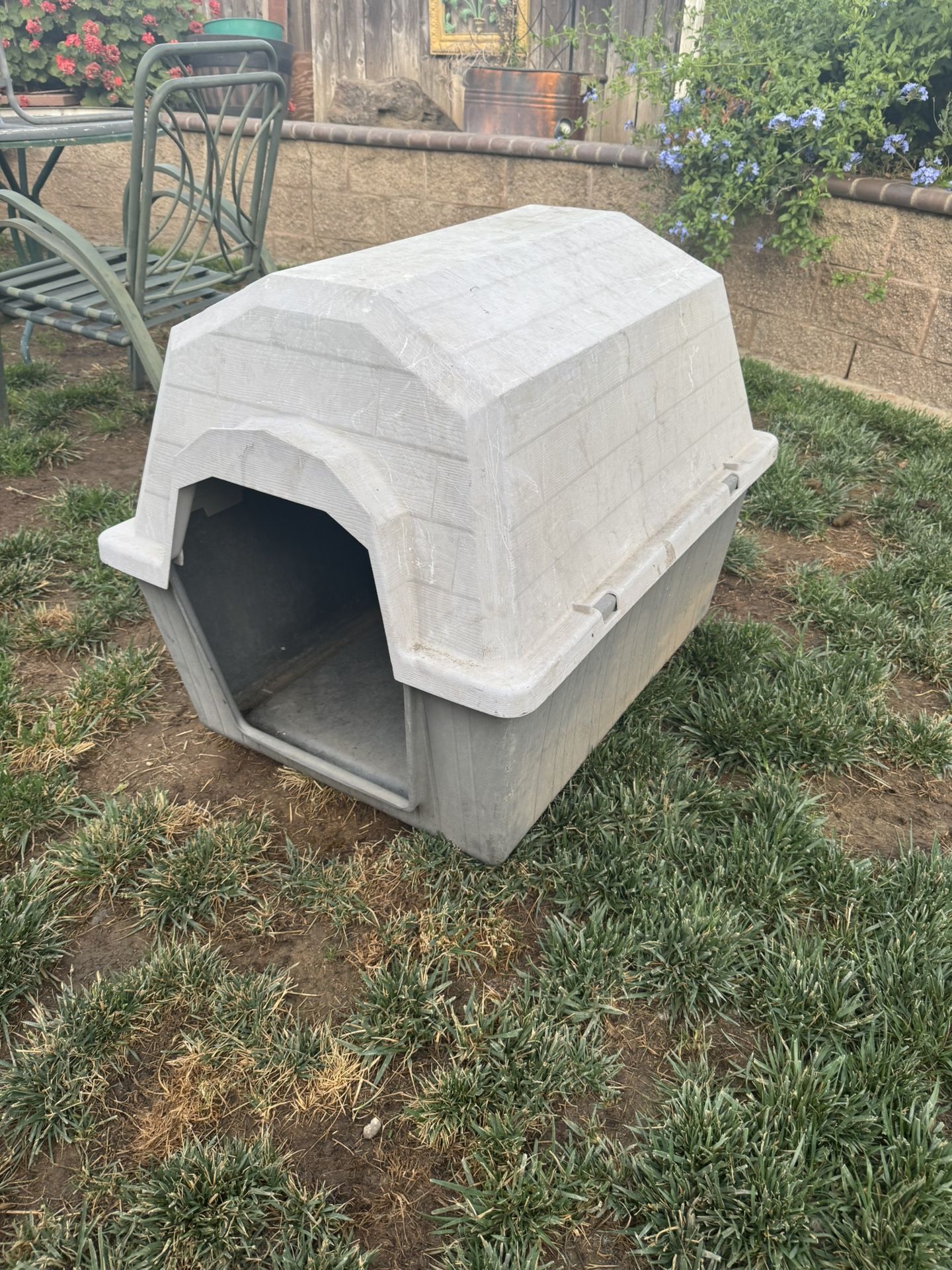 XL Dog House