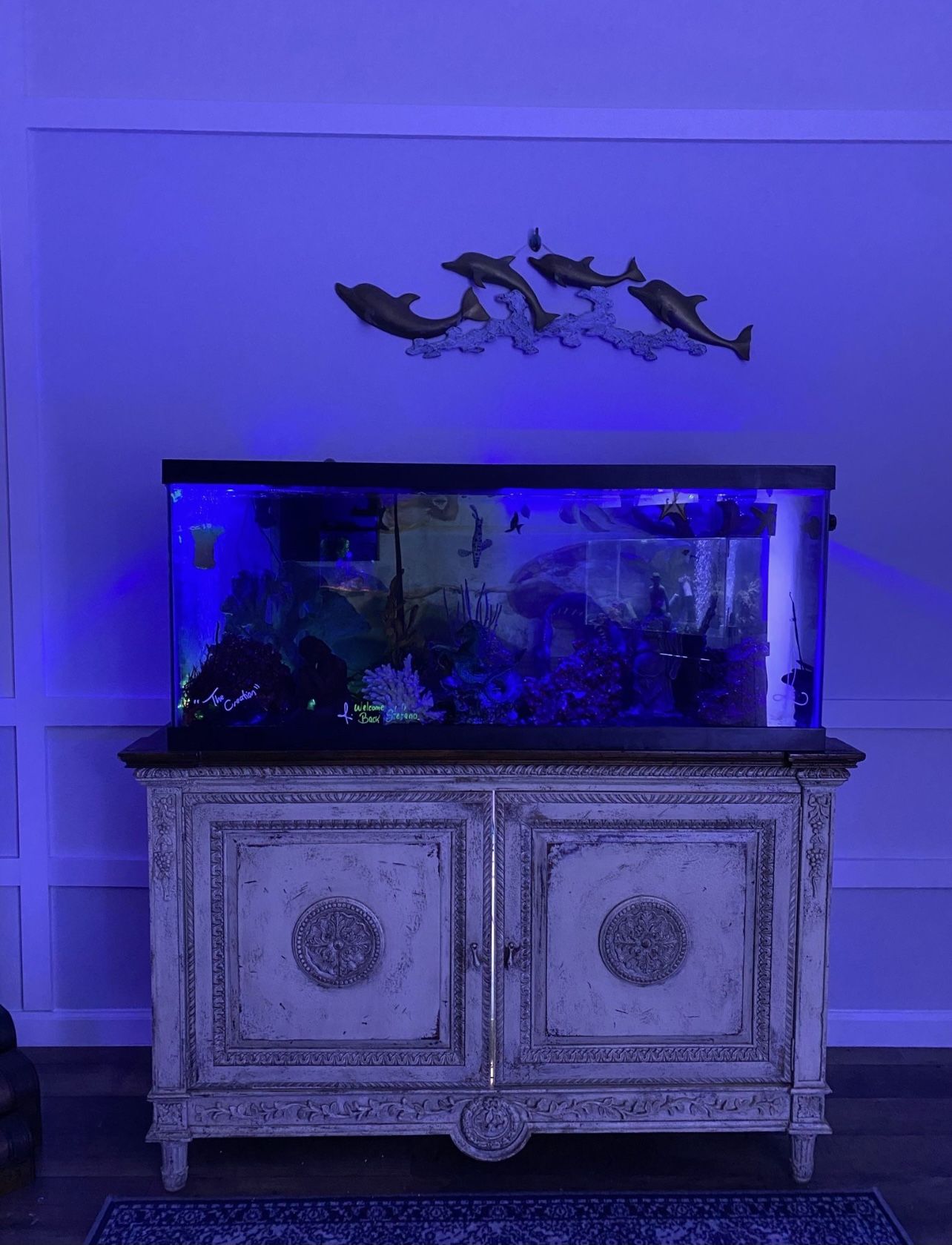 80 Gallons Fish Tank 