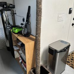 Moss pole For Trailing Plant