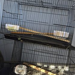Bird Cages