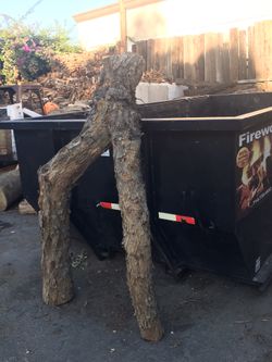 Groot