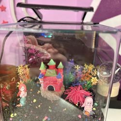 GloFish Betta Shadowbox Aquarium Kit 3 gallon